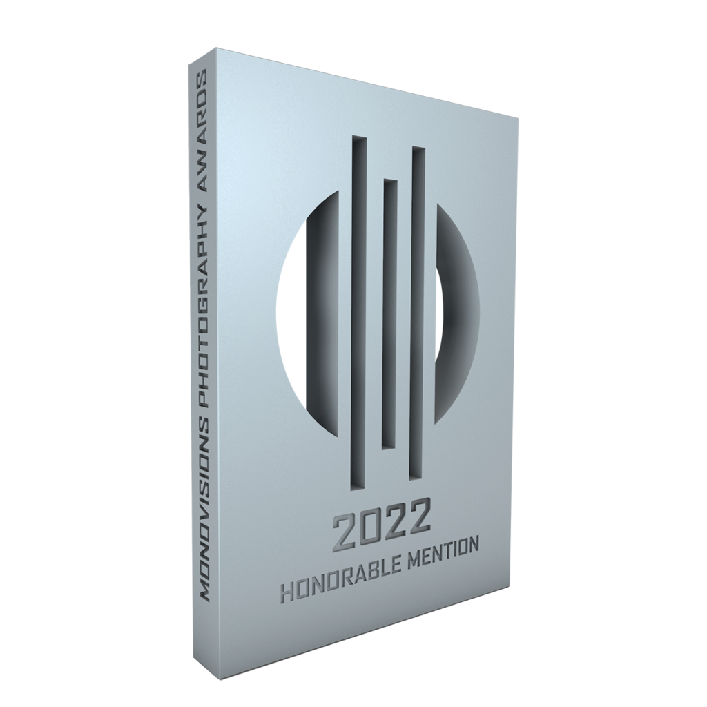 monovision awards 2022